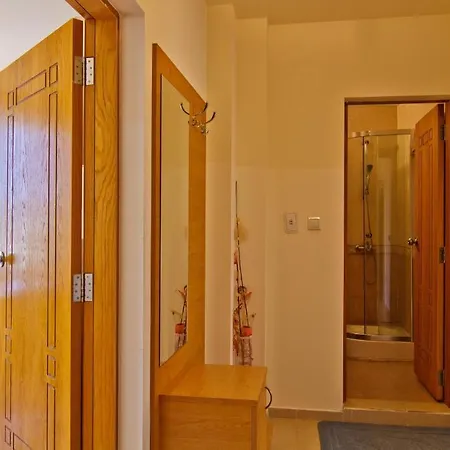 公寓式酒店 Sea Grace 内塞伯尔